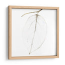 Hojas De Otoño Iv - Christine Zalewski | Cuadro decorativo de Canvas Lab