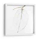 Hojas De Otoño Iv - Christine Zalewski | Cuadro decorativo de Canvas Lab
