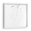 Luna De Bambú I - Christine Zalewski | Cuadro decorativo de Canvas Lab