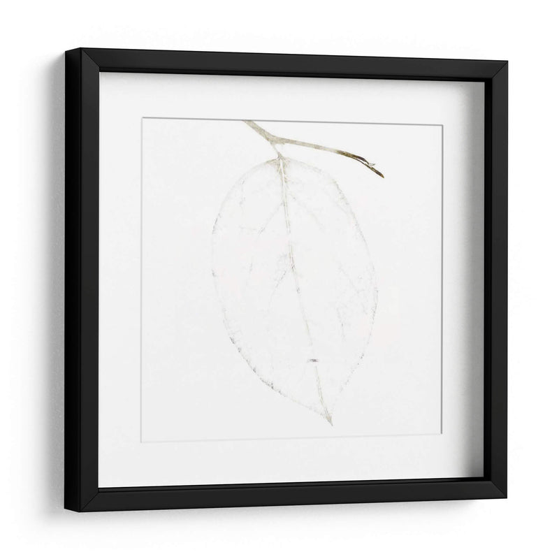 Bamboo Moon Ii - Christine Zalewski | Cuadro decorativo de Canvas Lab