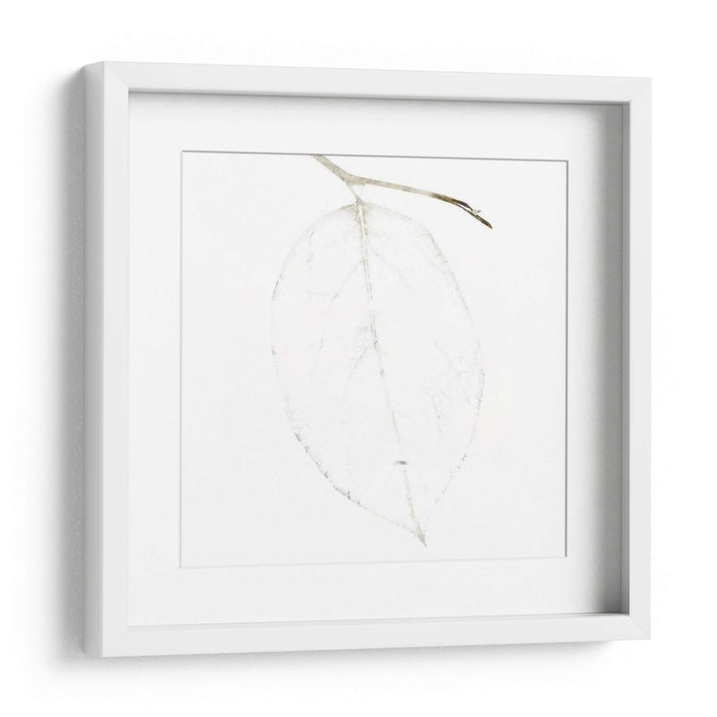 Bamboo Moon Ii - Christine Zalewski | Cuadro decorativo de Canvas Lab