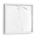 Bamboo Moon Ii - Christine Zalewski | Cuadro decorativo de Canvas Lab