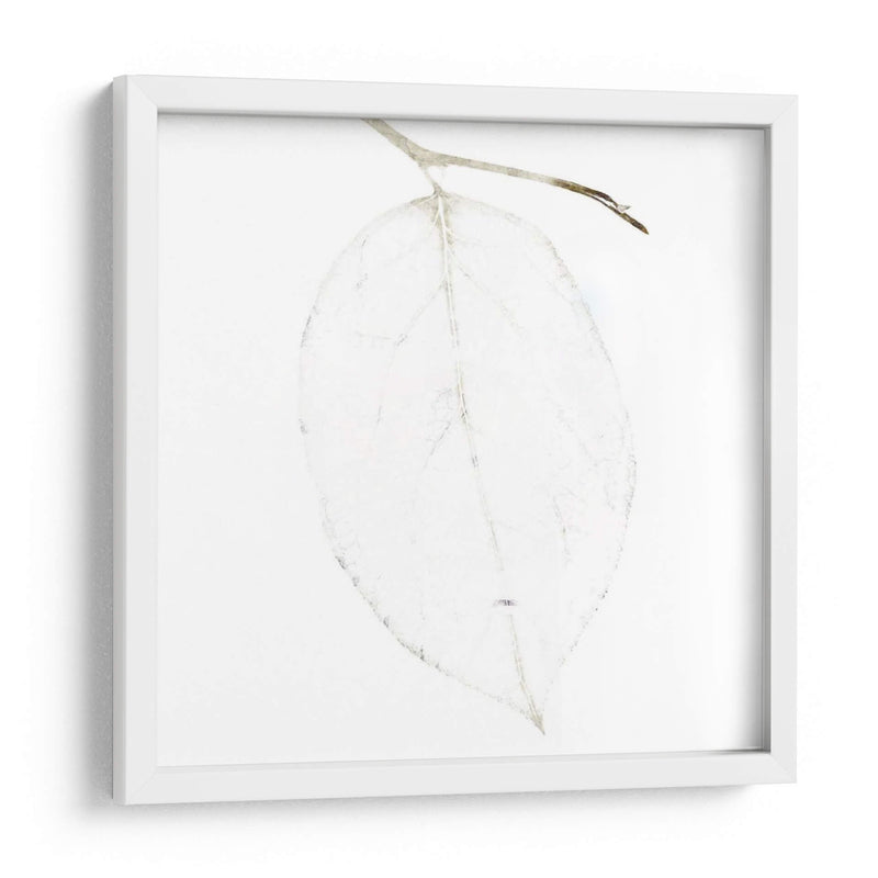 Bamboo Moon Ii - Christine Zalewski | Cuadro decorativo de Canvas Lab