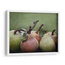 Peras De Comice I - Rachel Perry | Cuadro decorativo de Canvas Lab