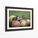 Comice Peras Ii - Rachel Perry | Cuadro decorativo de Canvas Lab
