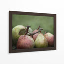 Comice Peras Ii - Rachel Perry | Cuadro decorativo de Canvas Lab