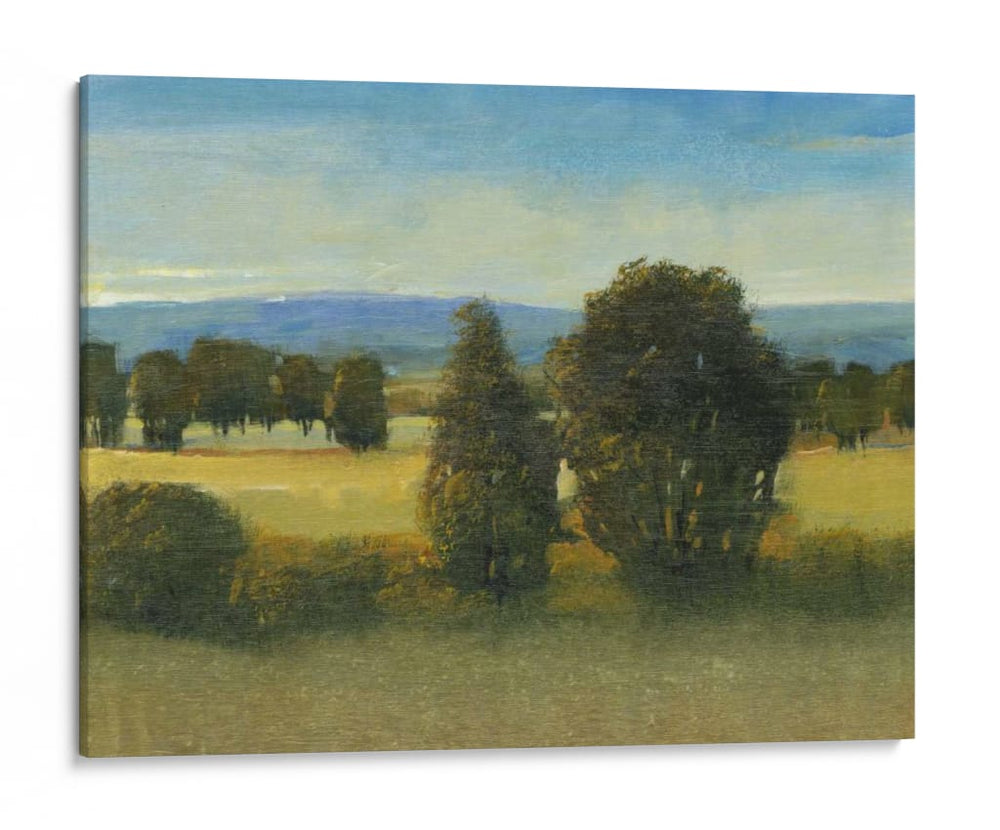 Prado Verde I-II - Tim OToole | Cuadro decorativo de Canvas Lab