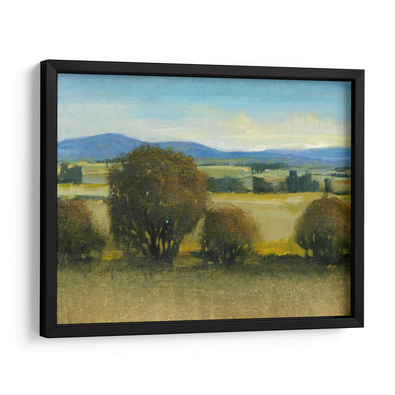 Verdant Meadow Ii - Tim OToole | Cuadro decorativo de Canvas Lab