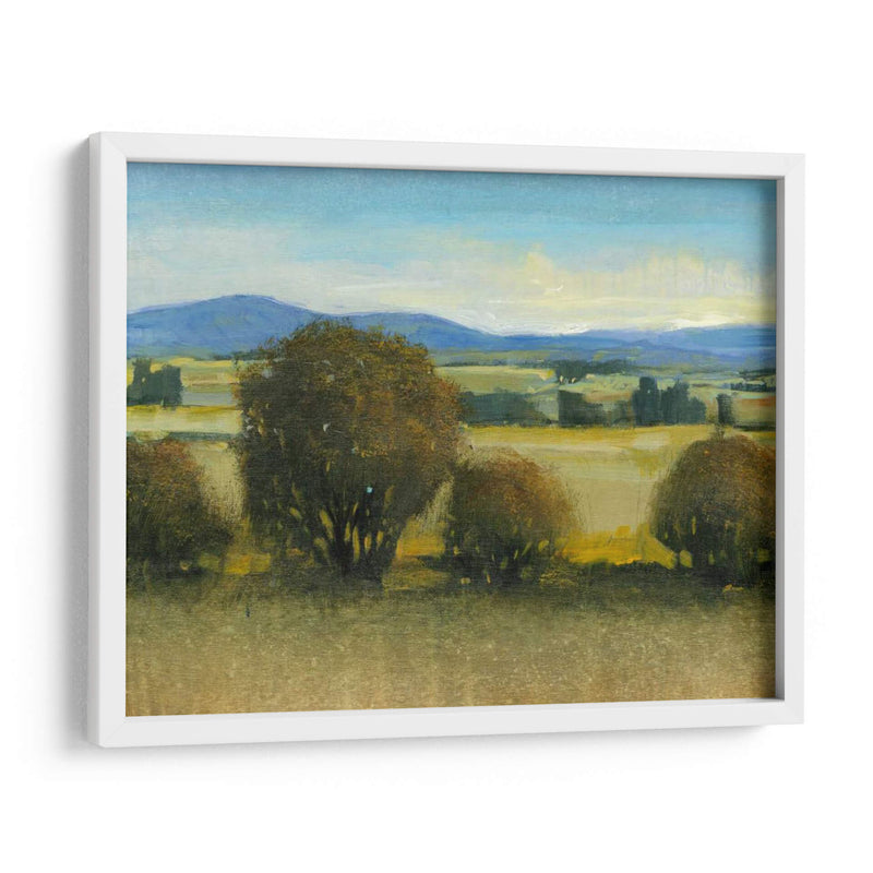 Verdant Meadow Ii - Tim OToole | Cuadro decorativo de Canvas Lab