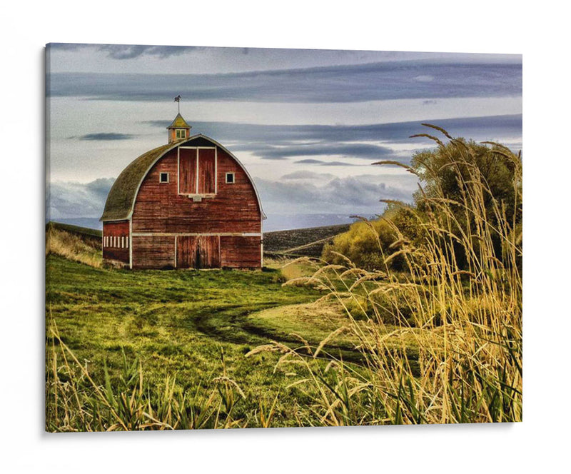 Palouse Granero - Colby Chester | Cuadro decorativo de Canvas Lab