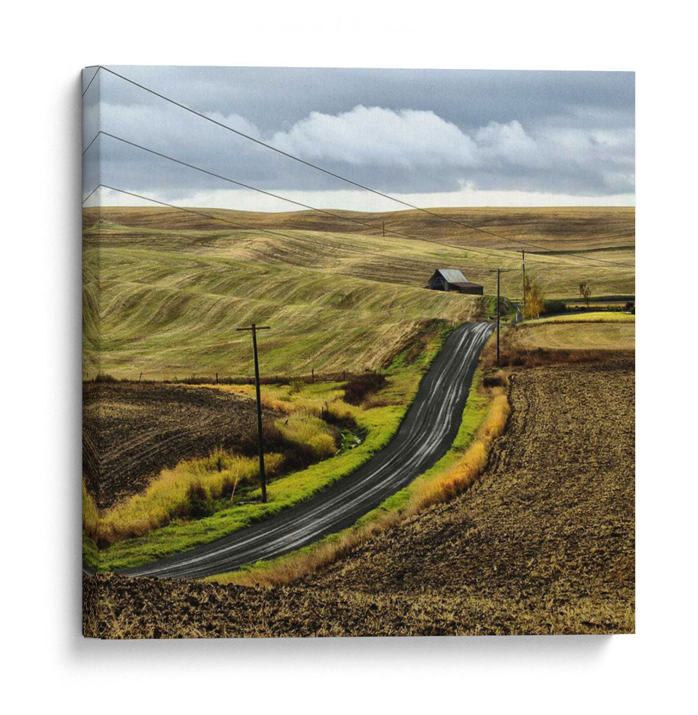 El Camino A Casa - Colby Chester | Cuadro decorativo de Canvas Lab