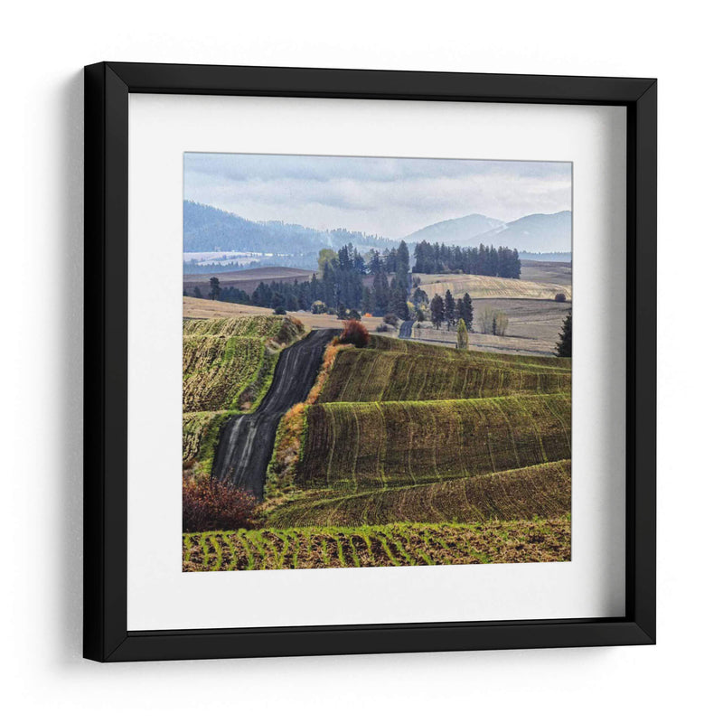 Palouse Hills - Colby Chester | Cuadro decorativo de Canvas Lab