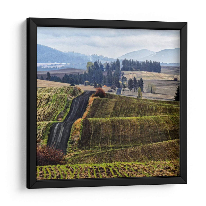 Palouse Hills - Colby Chester | Cuadro decorativo de Canvas Lab