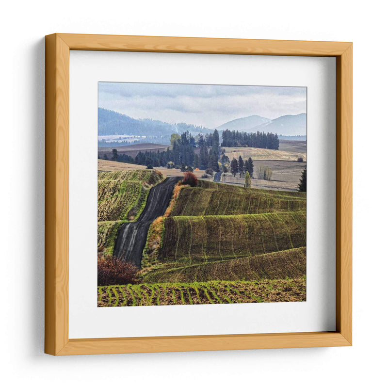 Palouse Hills - Colby Chester | Cuadro decorativo de Canvas Lab