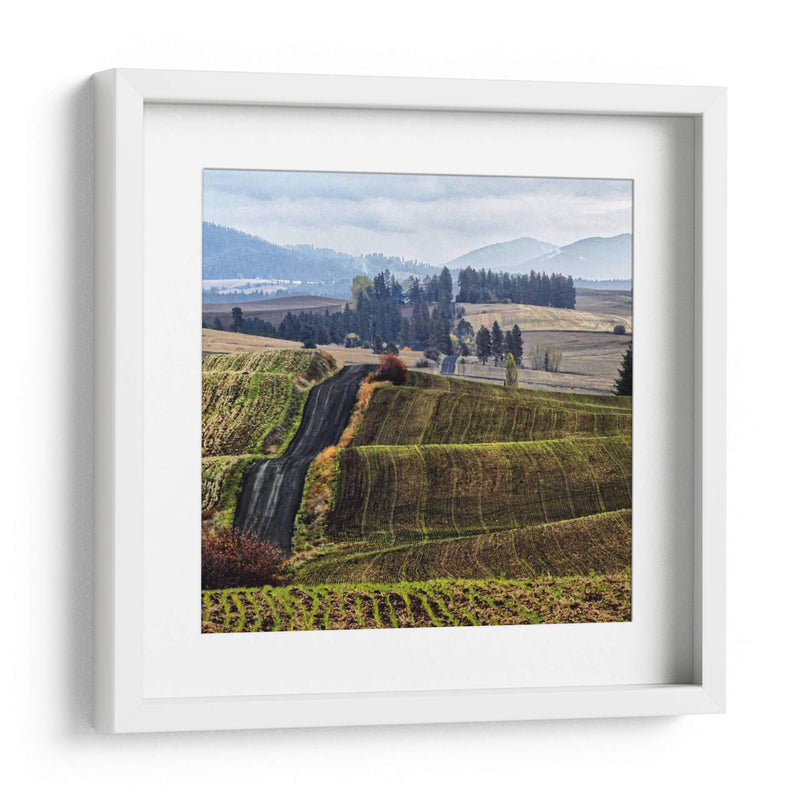 Palouse Hills - Colby Chester | Cuadro decorativo de Canvas Lab