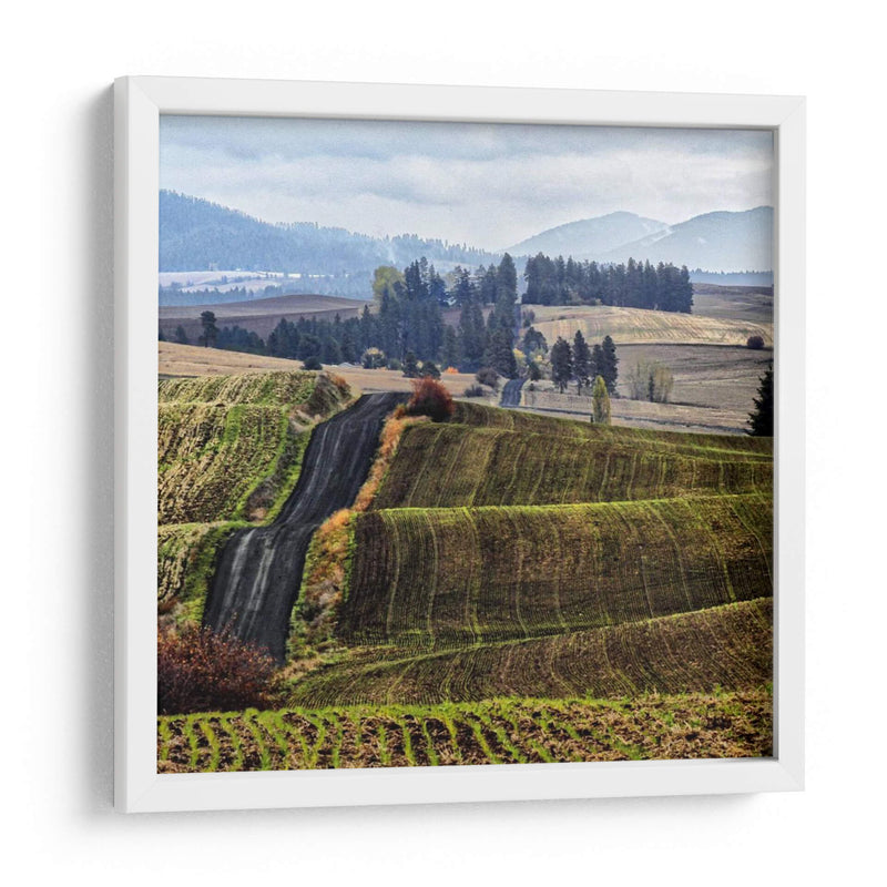 Palouse Hills - Colby Chester | Cuadro decorativo de Canvas Lab