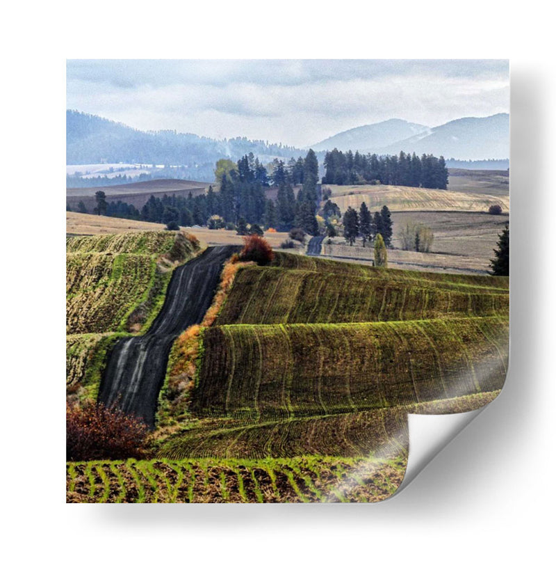 Palouse Hills - Colby Chester | Cuadro decorativo de Canvas Lab