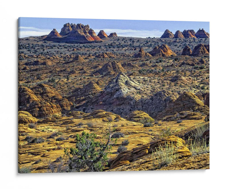 Vista Desde Coyote Buttes - Colby Chester | Cuadro decorativo de Canvas Lab