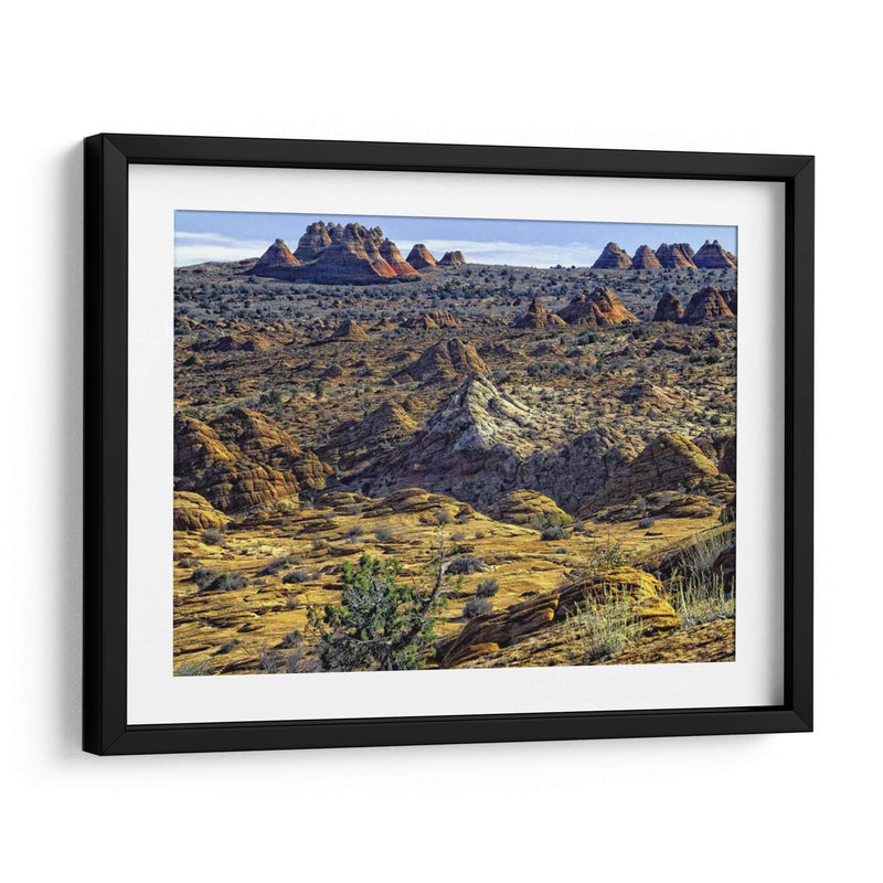 Vista Desde Coyote Buttes - Colby Chester | Cuadro decorativo de Canvas Lab