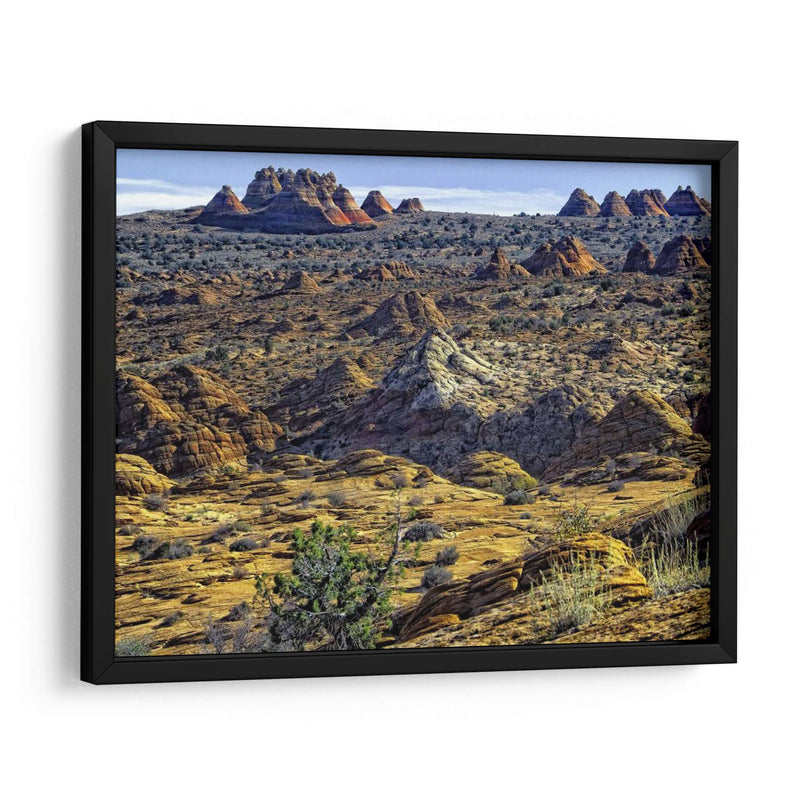 Vista Desde Coyote Buttes - Colby Chester | Cuadro decorativo de Canvas Lab