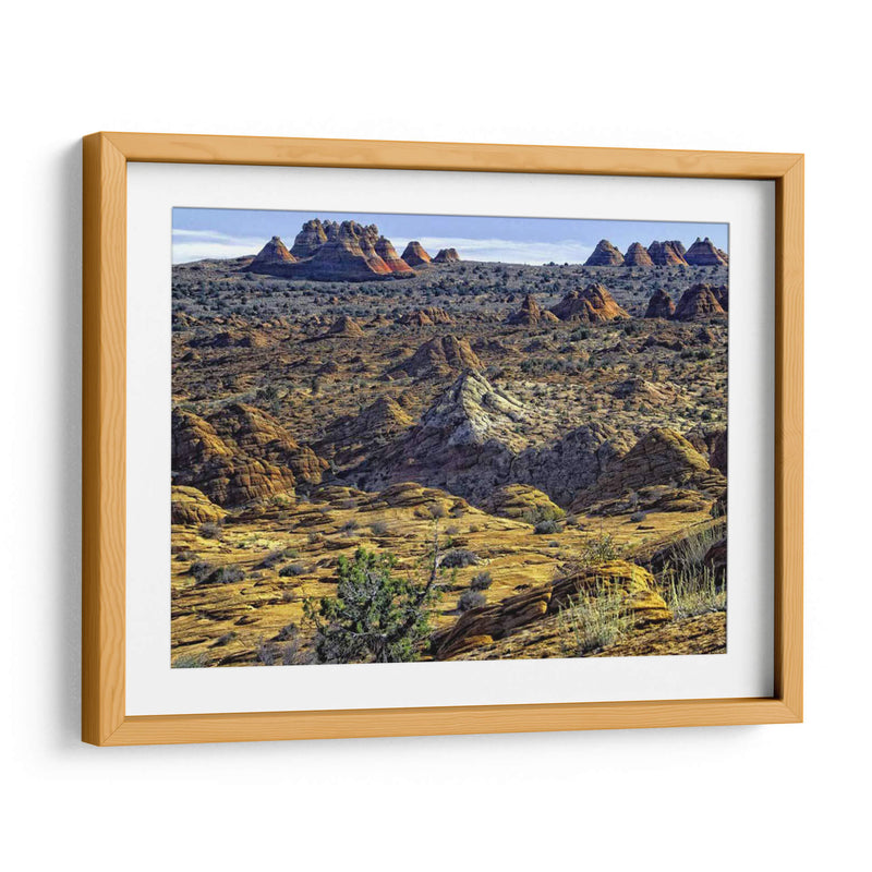 Vista Desde Coyote Buttes - Colby Chester | Cuadro decorativo de Canvas Lab