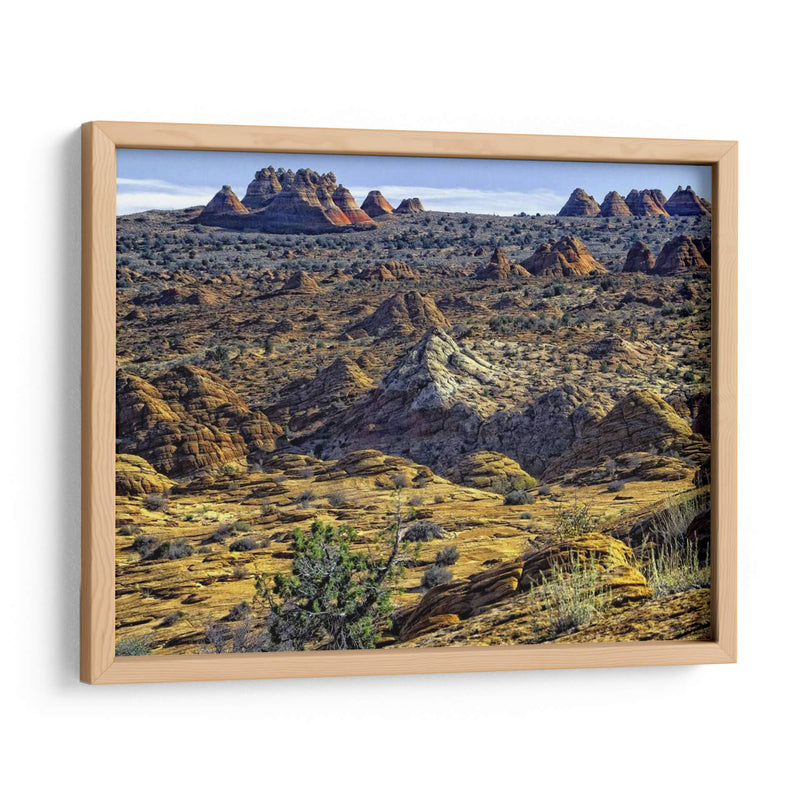 Vista Desde Coyote Buttes - Colby Chester | Cuadro decorativo de Canvas Lab