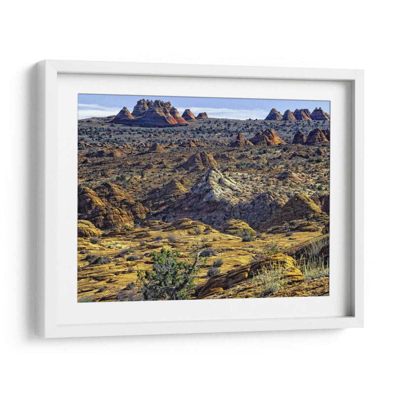 Vista Desde Coyote Buttes - Colby Chester | Cuadro decorativo de Canvas Lab