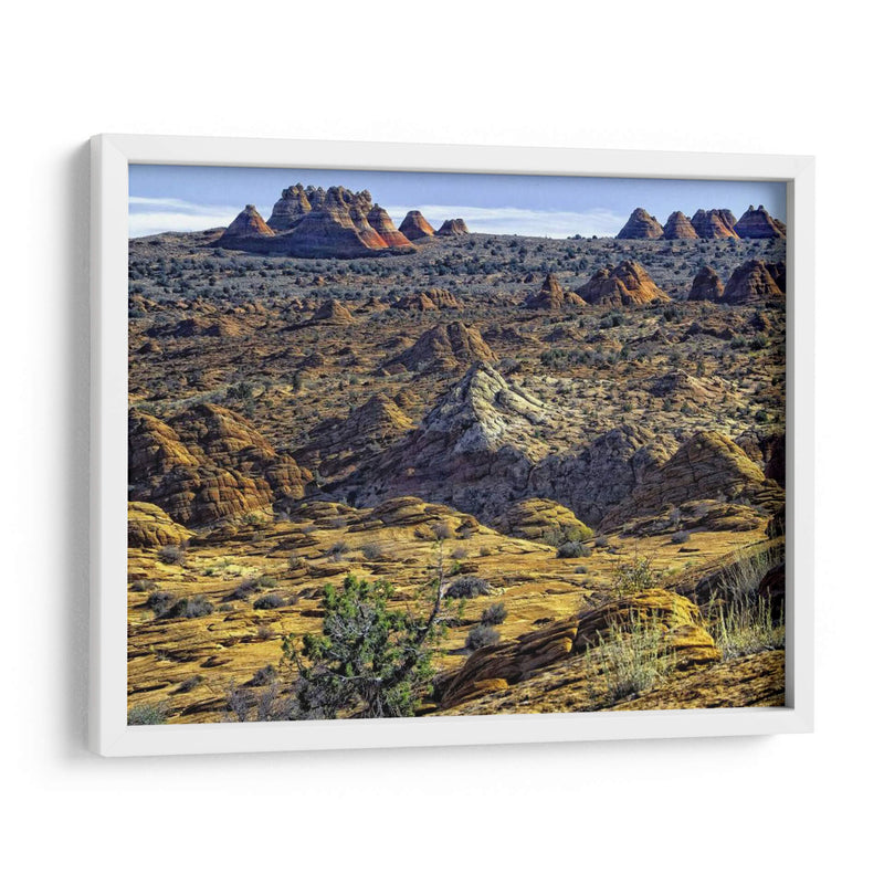 Vista Desde Coyote Buttes - Colby Chester | Cuadro decorativo de Canvas Lab