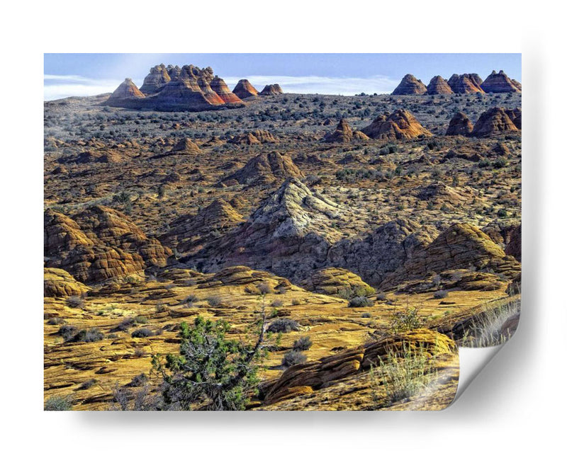 Vista Desde Coyote Buttes - Colby Chester | Cuadro decorativo de Canvas Lab