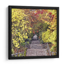 Tunel De Otoño - Colby Chester | Cuadro decorativo de Canvas Lab