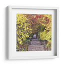 Tunel De Otoño - Colby Chester | Cuadro decorativo de Canvas Lab