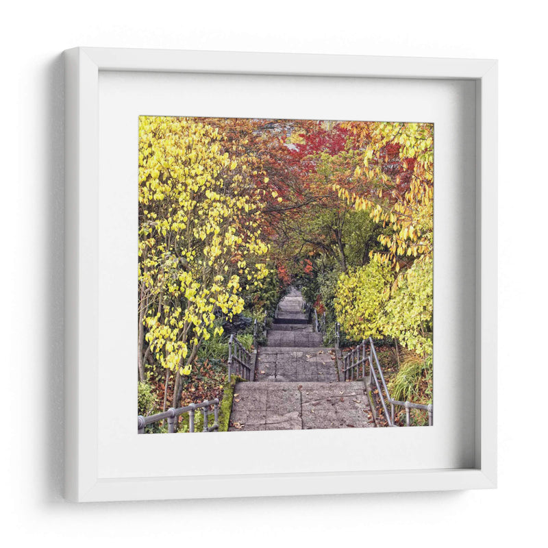 Tunel De Otoño - Colby Chester | Cuadro decorativo de Canvas Lab