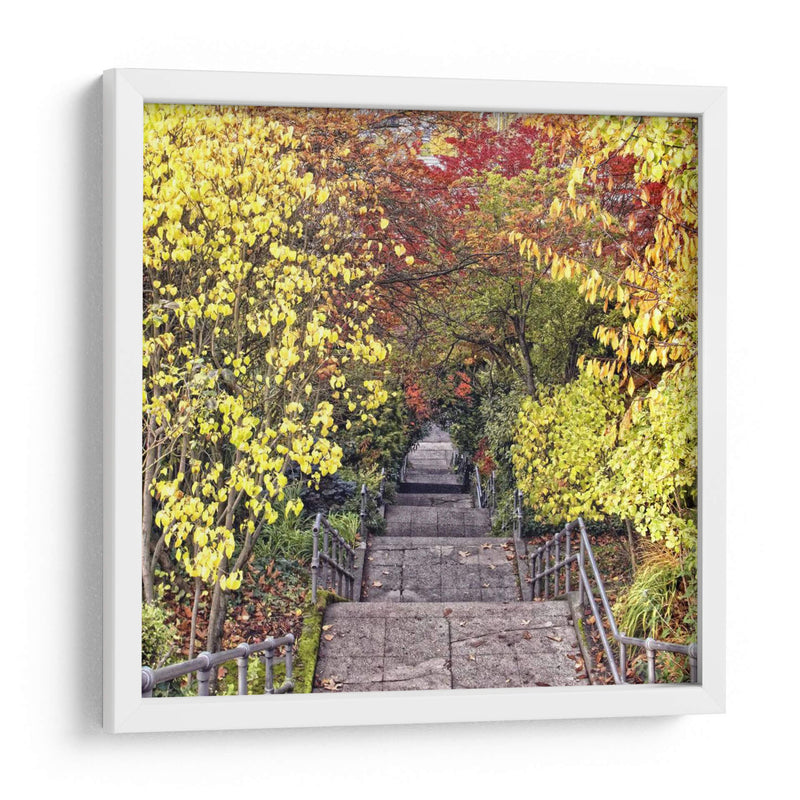 Tunel De Otoño - Colby Chester | Cuadro decorativo de Canvas Lab