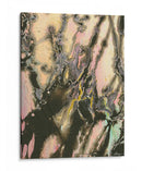 El Senador I - Dlynn Roll | Cuadro decorativo de Canvas Lab