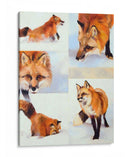 Vulpes V - Julie T. Chapman | Cuadro decorativo de Canvas Lab