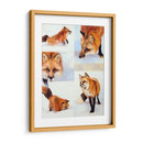 Vulpes V - Julie T. Chapman | Cuadro decorativo de Canvas Lab