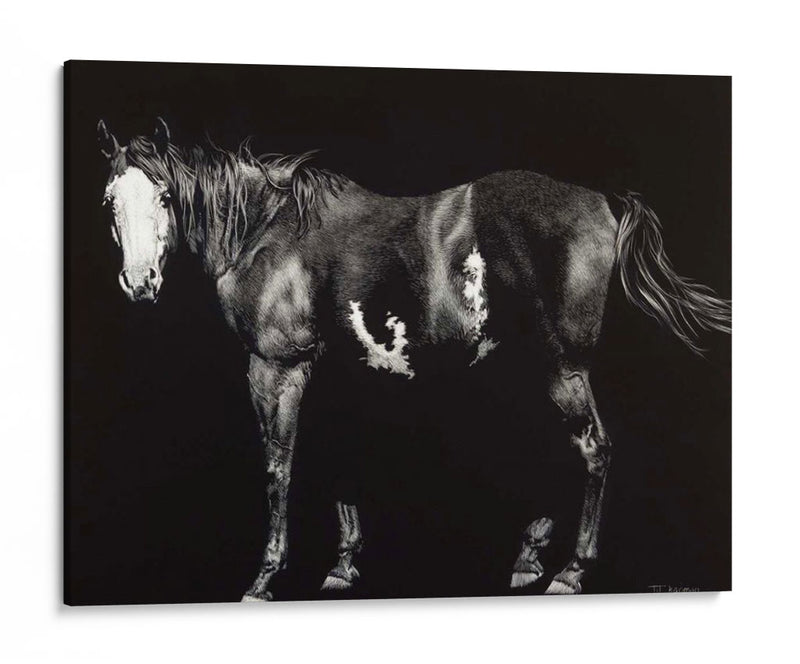 Broodmare De Cara Calva - Julie T. Chapman | Cuadro decorativo de Canvas Lab