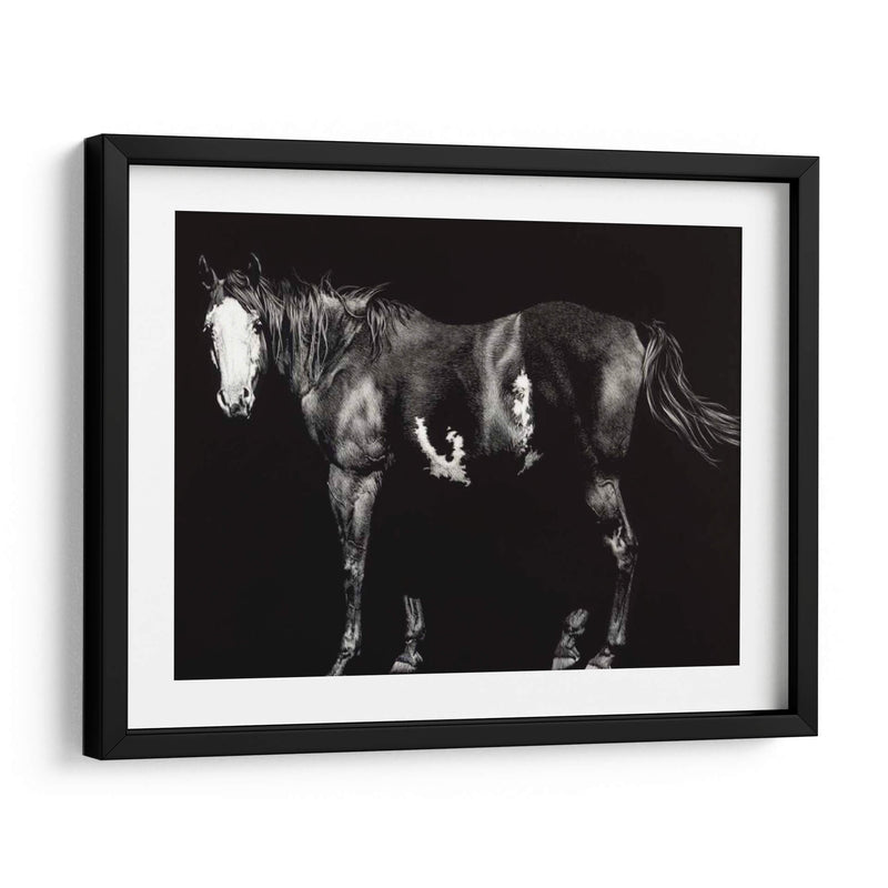 Broodmare De Cara Calva - Julie T. Chapman | Cuadro decorativo de Canvas Lab