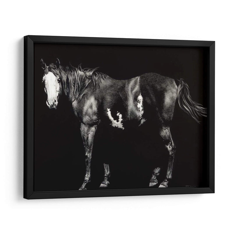 Broodmare De Cara Calva - Julie T. Chapman | Cuadro decorativo de Canvas Lab