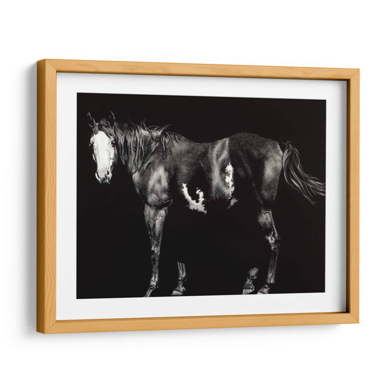 Broodmare De Cara Calva - Julie T. Chapman | Cuadro decorativo de Canvas Lab