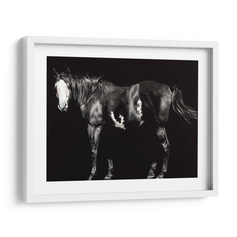 Broodmare De Cara Calva - Julie T. Chapman | Cuadro decorativo de Canvas Lab