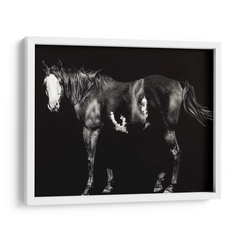 Broodmare De Cara Calva - Julie T. Chapman | Cuadro decorativo de Canvas Lab