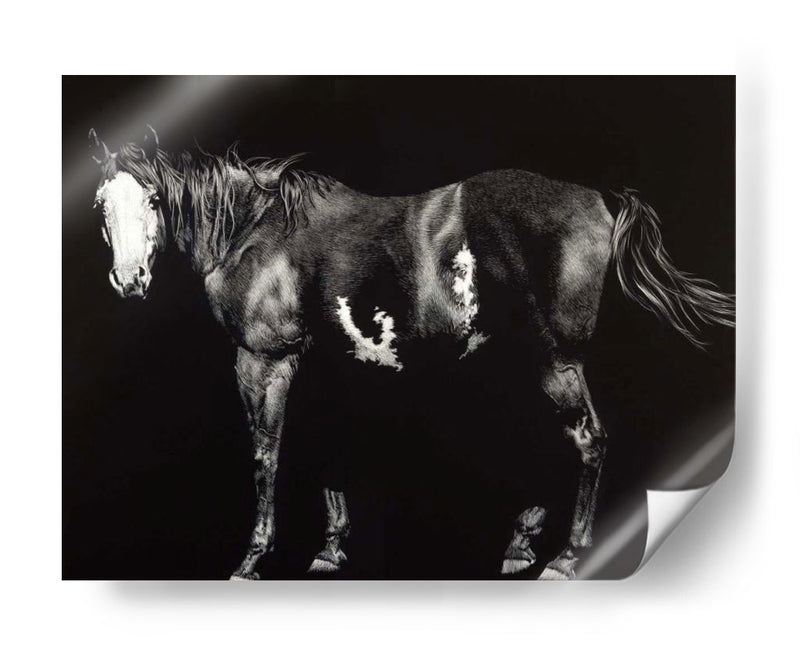 Broodmare De Cara Calva - Julie T. Chapman | Cuadro decorativo de Canvas Lab