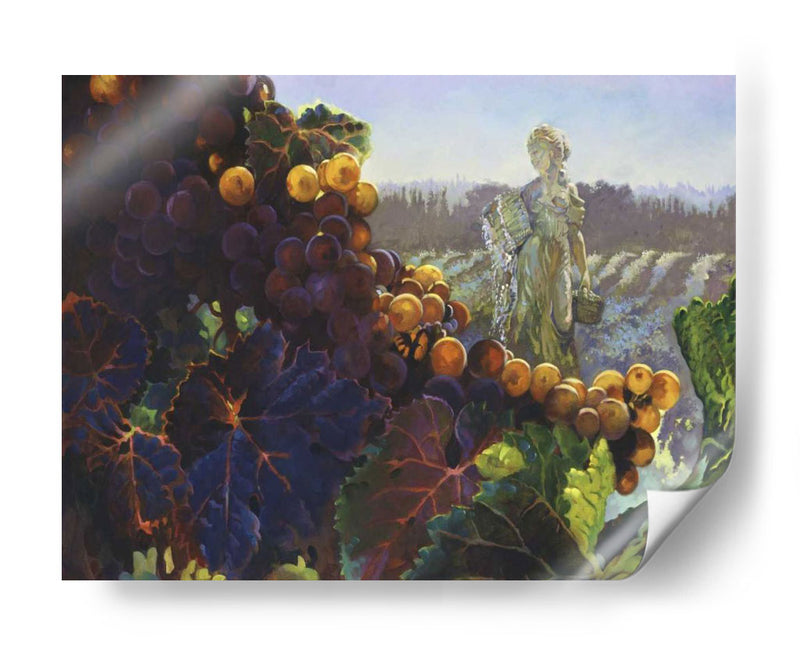 Toscana Bounty - Clif Hadfield | Cuadro decorativo de Canvas Lab