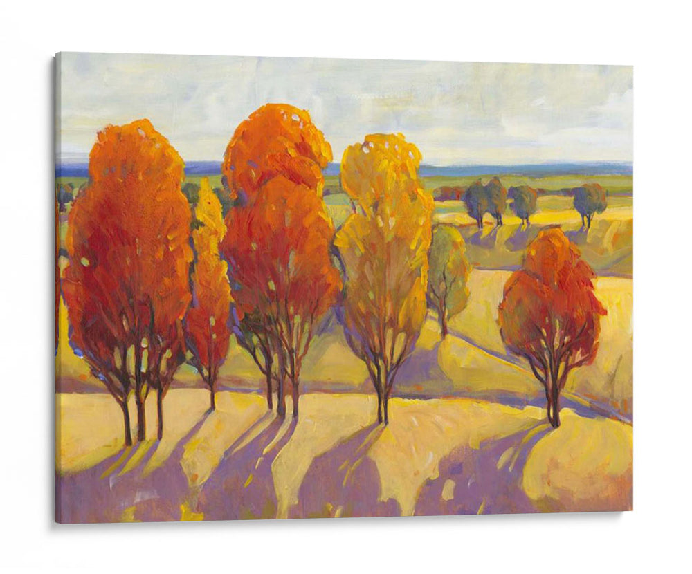Dia Brillo Ii - Tim OToole | Cuadro decorativo de Canvas Lab