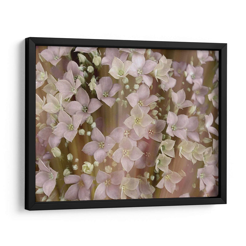 Floral Suave Ii - Danielle Harrington | Cuadro decorativo de Canvas Lab