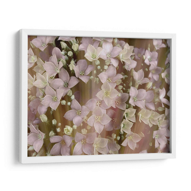 Floral Suave Ii - Danielle Harrington | Cuadro decorativo de Canvas Lab