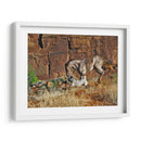 Corriendo Caballos I - David Drost | Cuadro decorativo de Canvas Lab