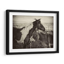 Besos De Caballos Ii - David Drost | Cuadro decorativo de Canvas Lab