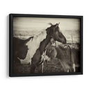 Besos De Caballos Ii - David Drost | Cuadro decorativo de Canvas Lab